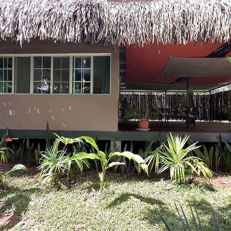 Chilibre Monkey Lodge Panama מראה חיצוני תמונה