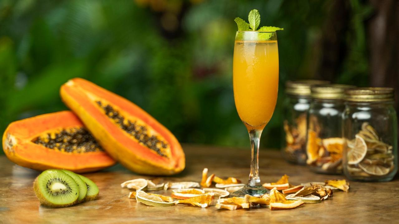 Chilibre Monkey Lodge Panama מראה חיצוני תמונה
