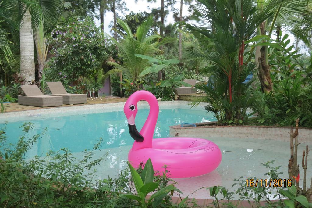 Chilibre Monkey Lodge Panama מראה חיצוני תמונה