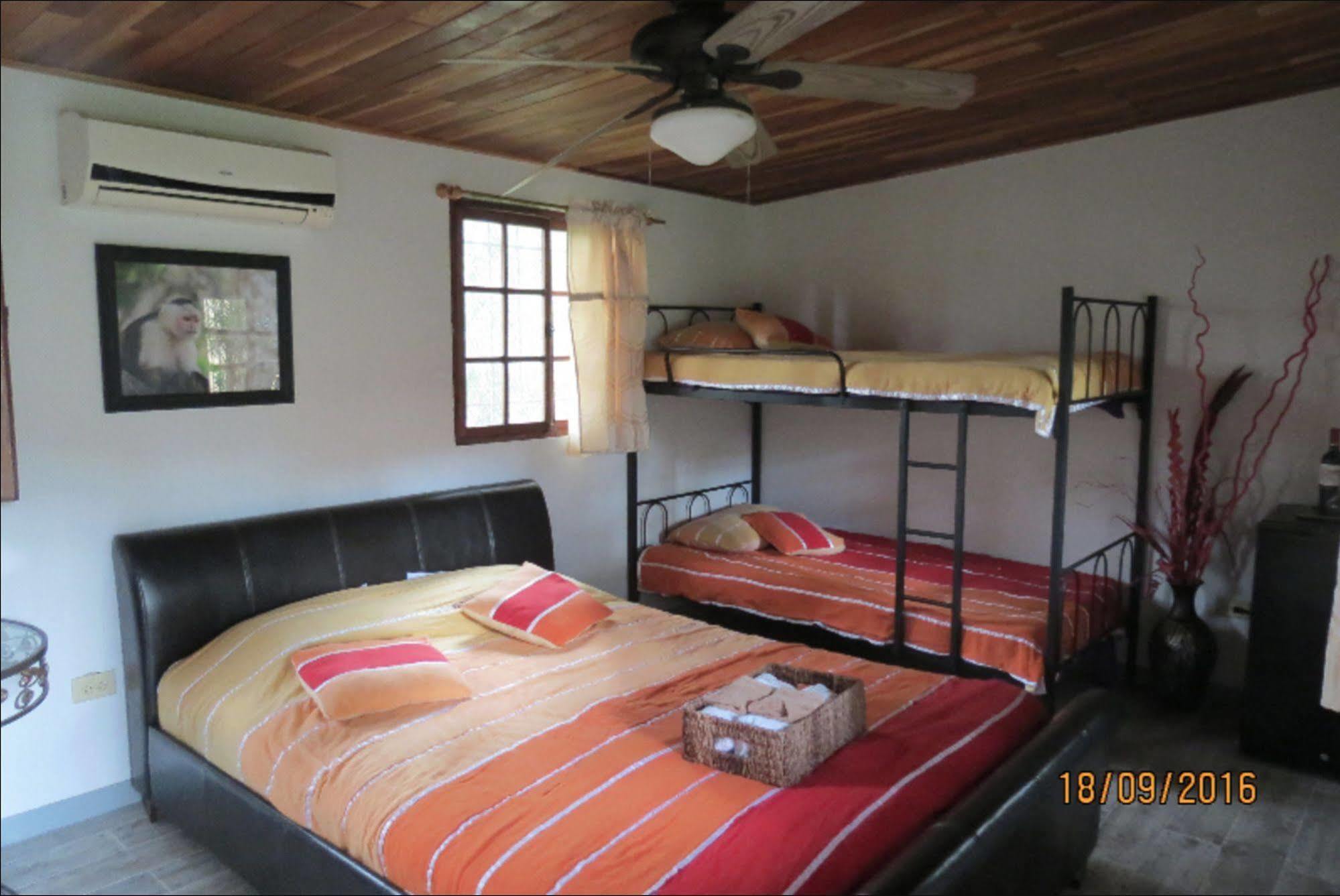 Chilibre Monkey Lodge Panama מראה חיצוני תמונה