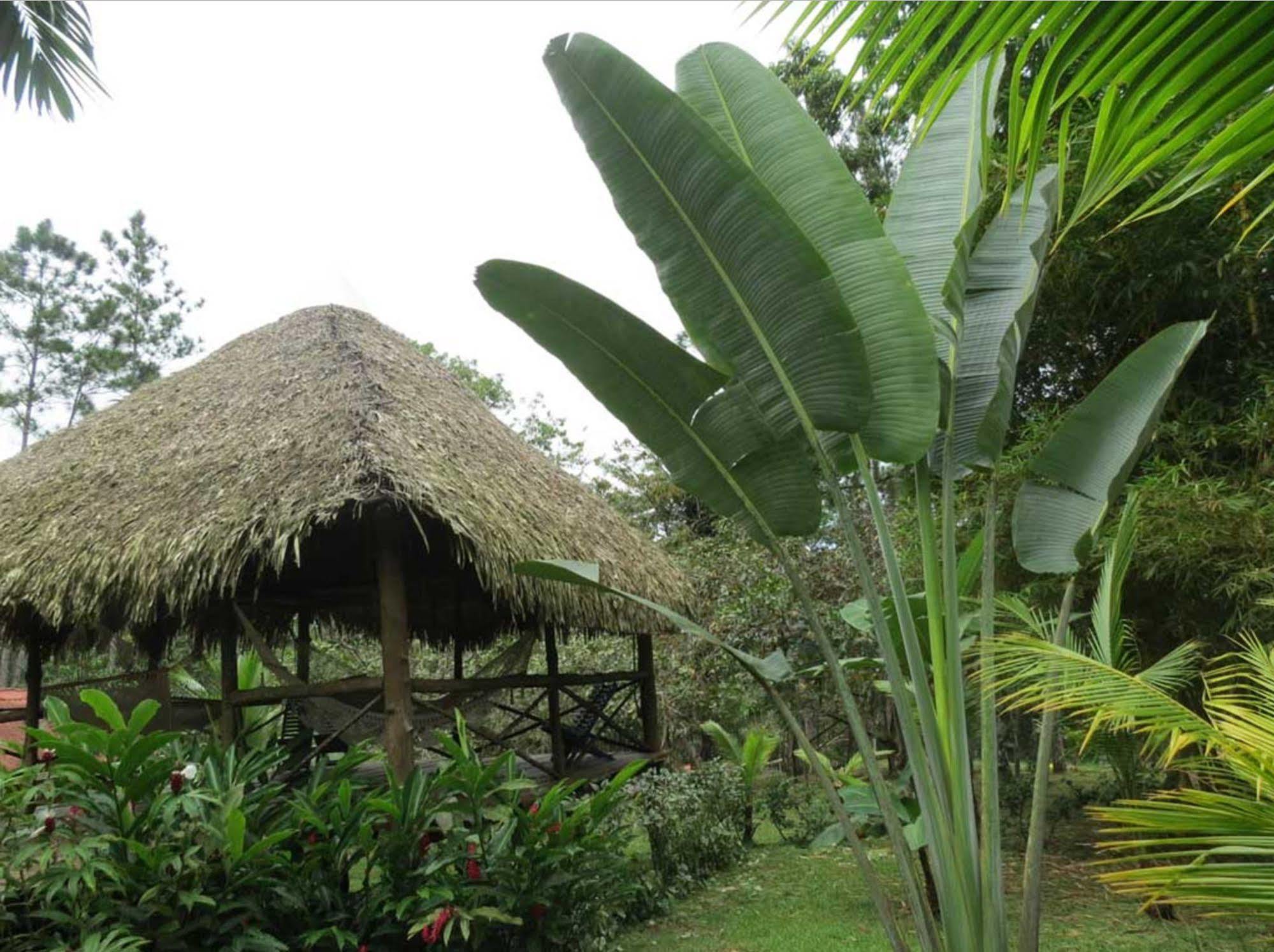 Chilibre Monkey Lodge Panama מראה חיצוני תמונה