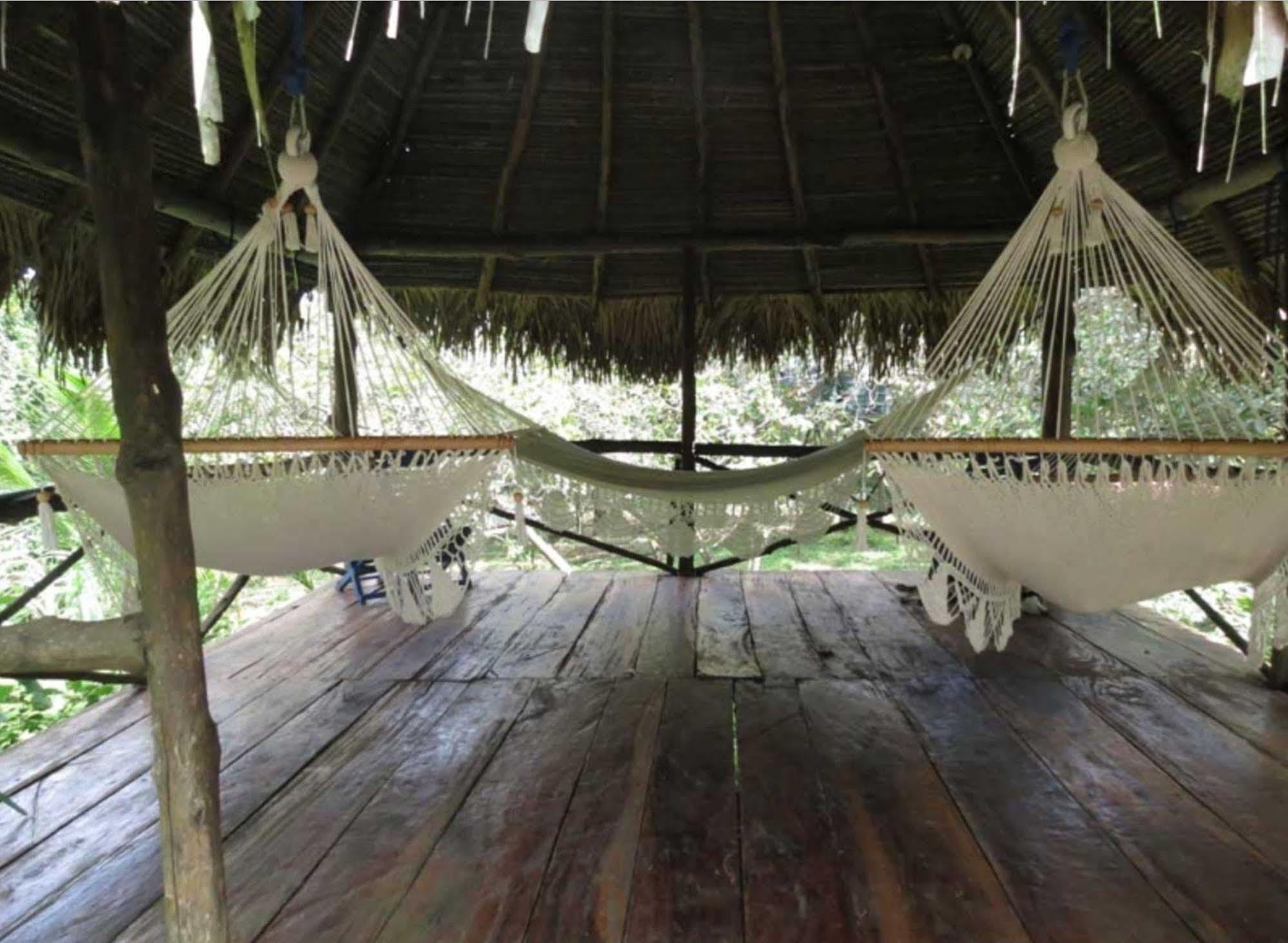 Chilibre Monkey Lodge Panama מראה חיצוני תמונה
